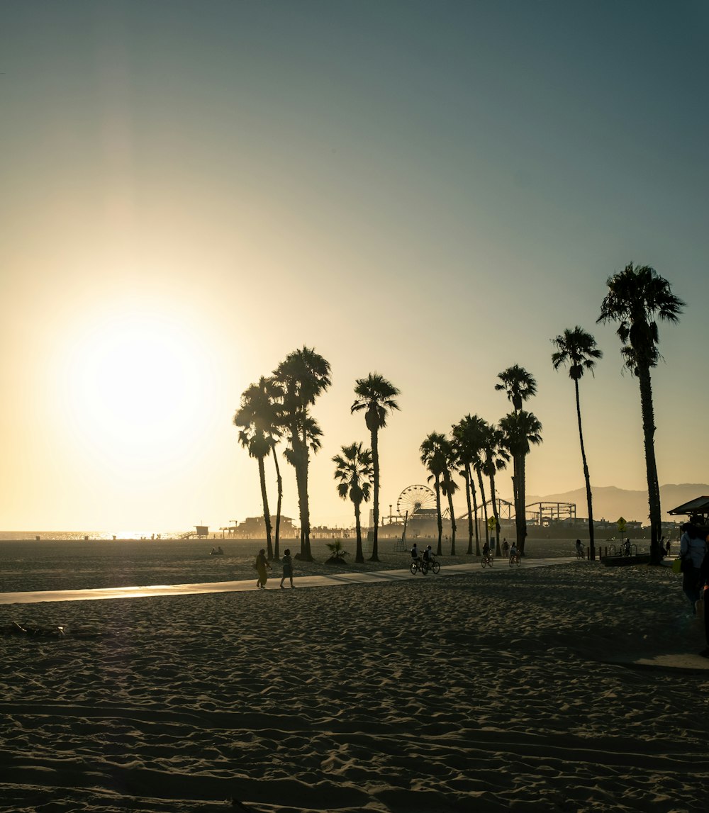 a beach with palm trees and people walking on it