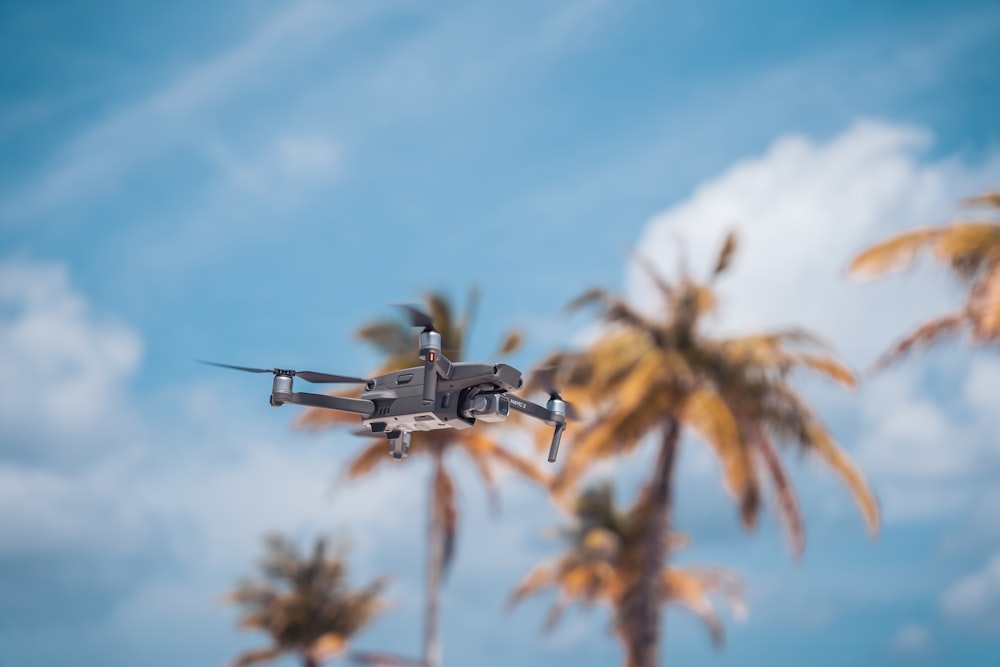 a small plane flying over some palm trees