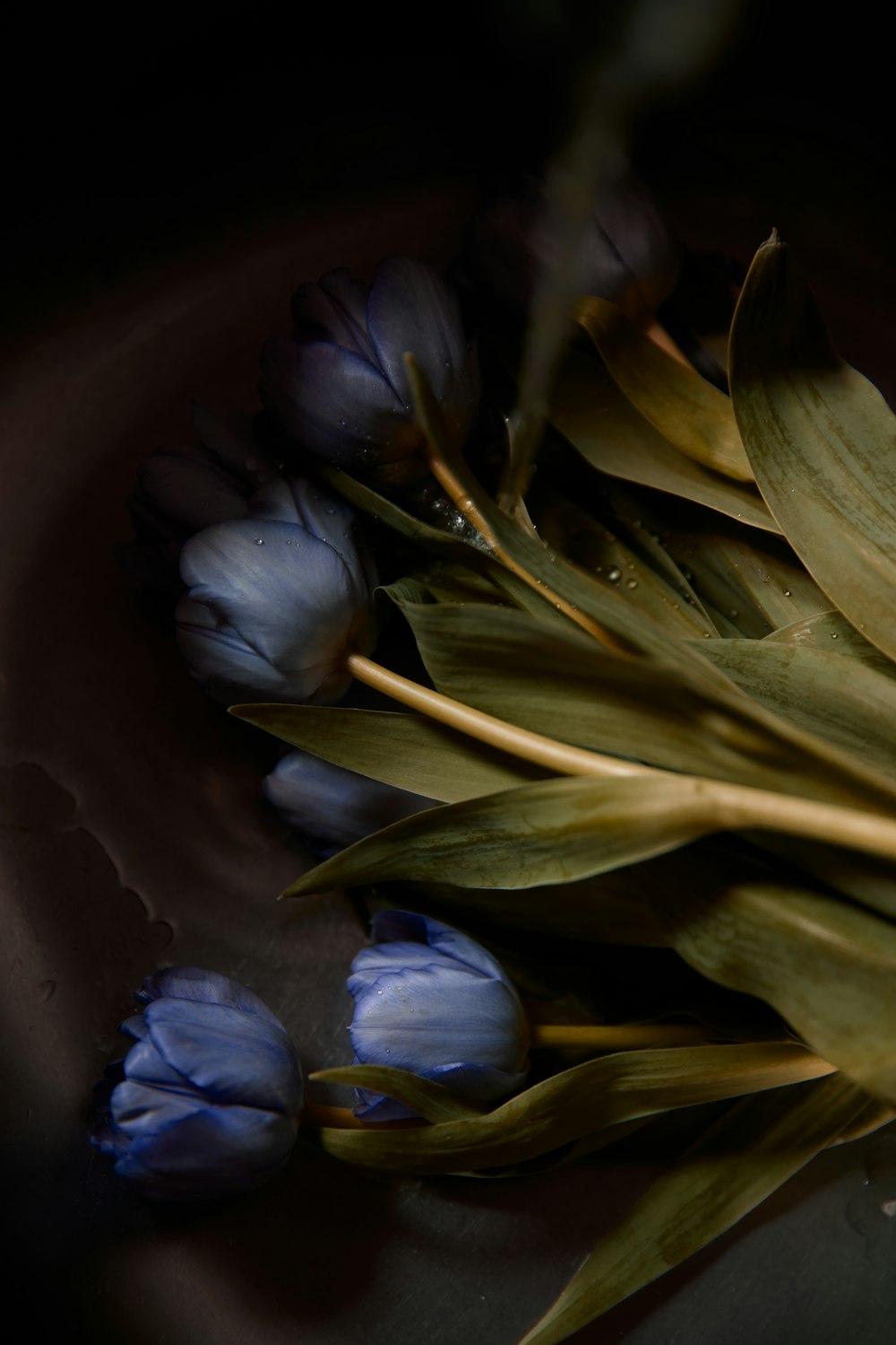 a close up of a flower