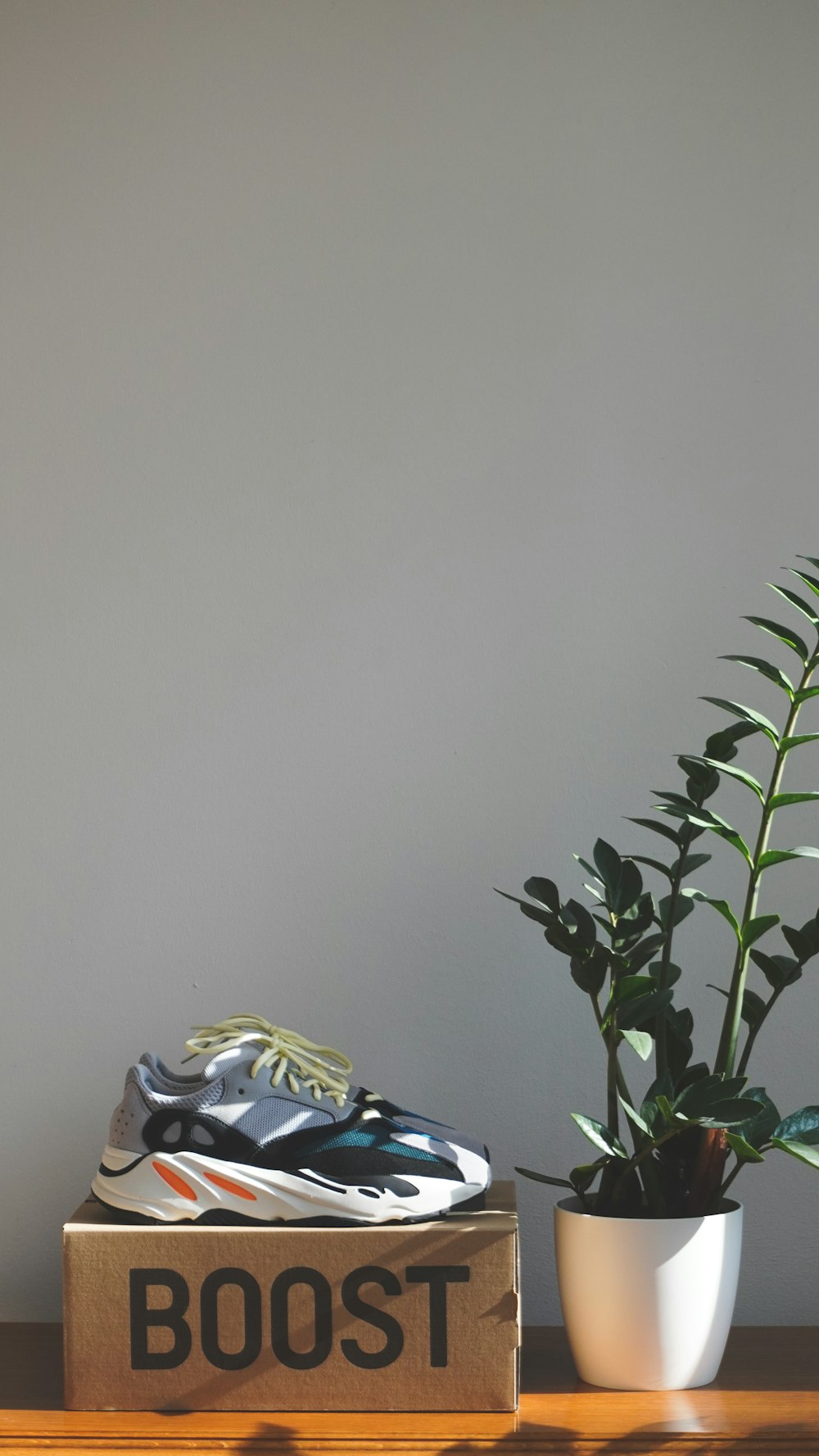 a box with a shoe on top of it next to a plant