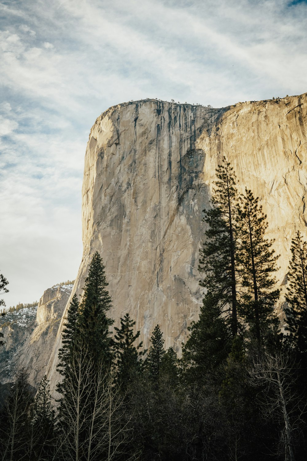 a tall mountain towering over a forest filled with trees