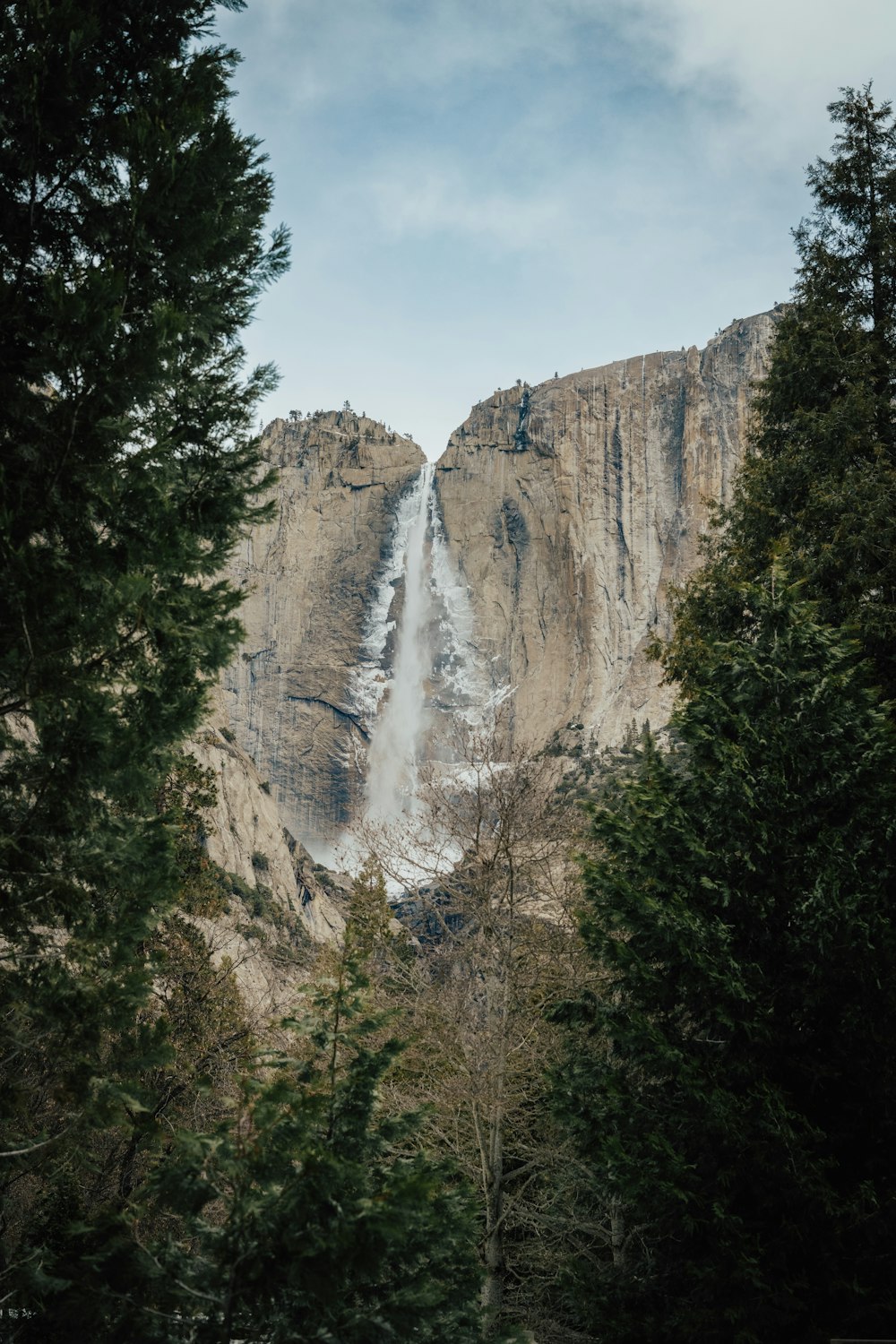 Una grande cascata in una foresta