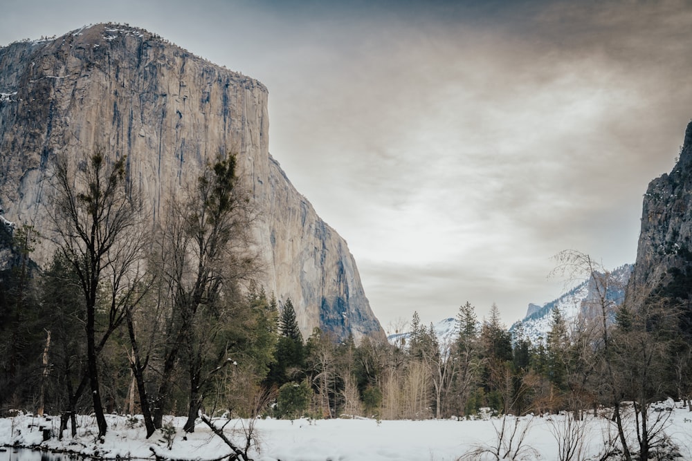 a snowy landscape with a mountain in the background