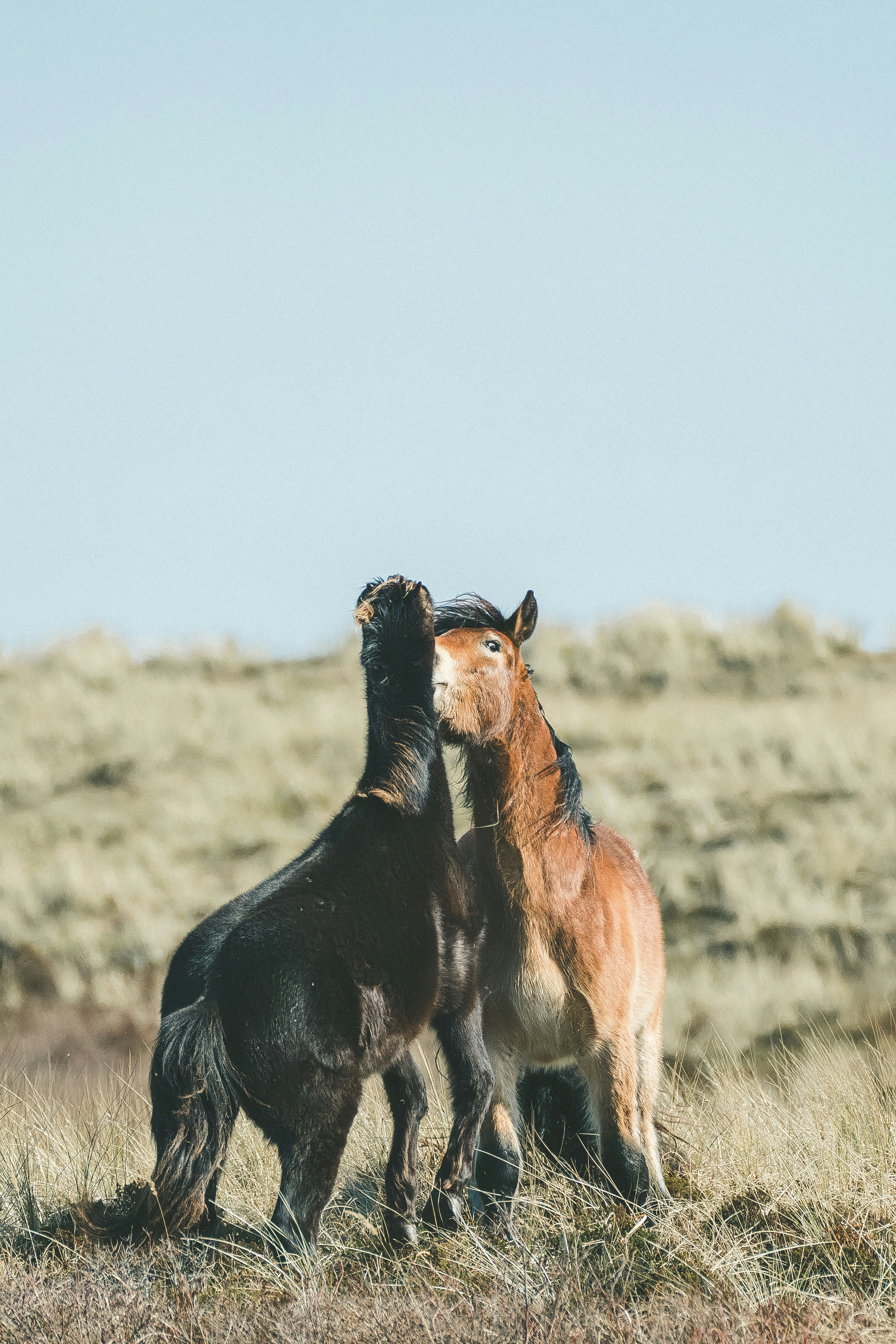 Photo by sinusfiction