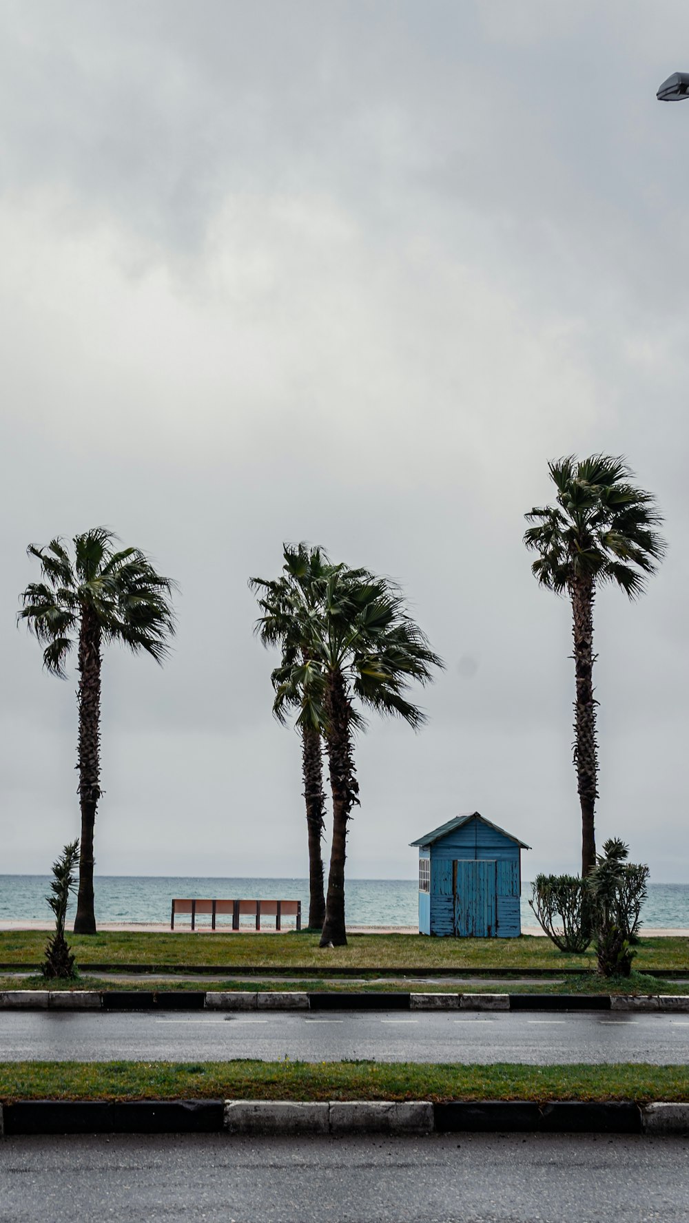 a blue building sitting on the side of a road next to palm trees