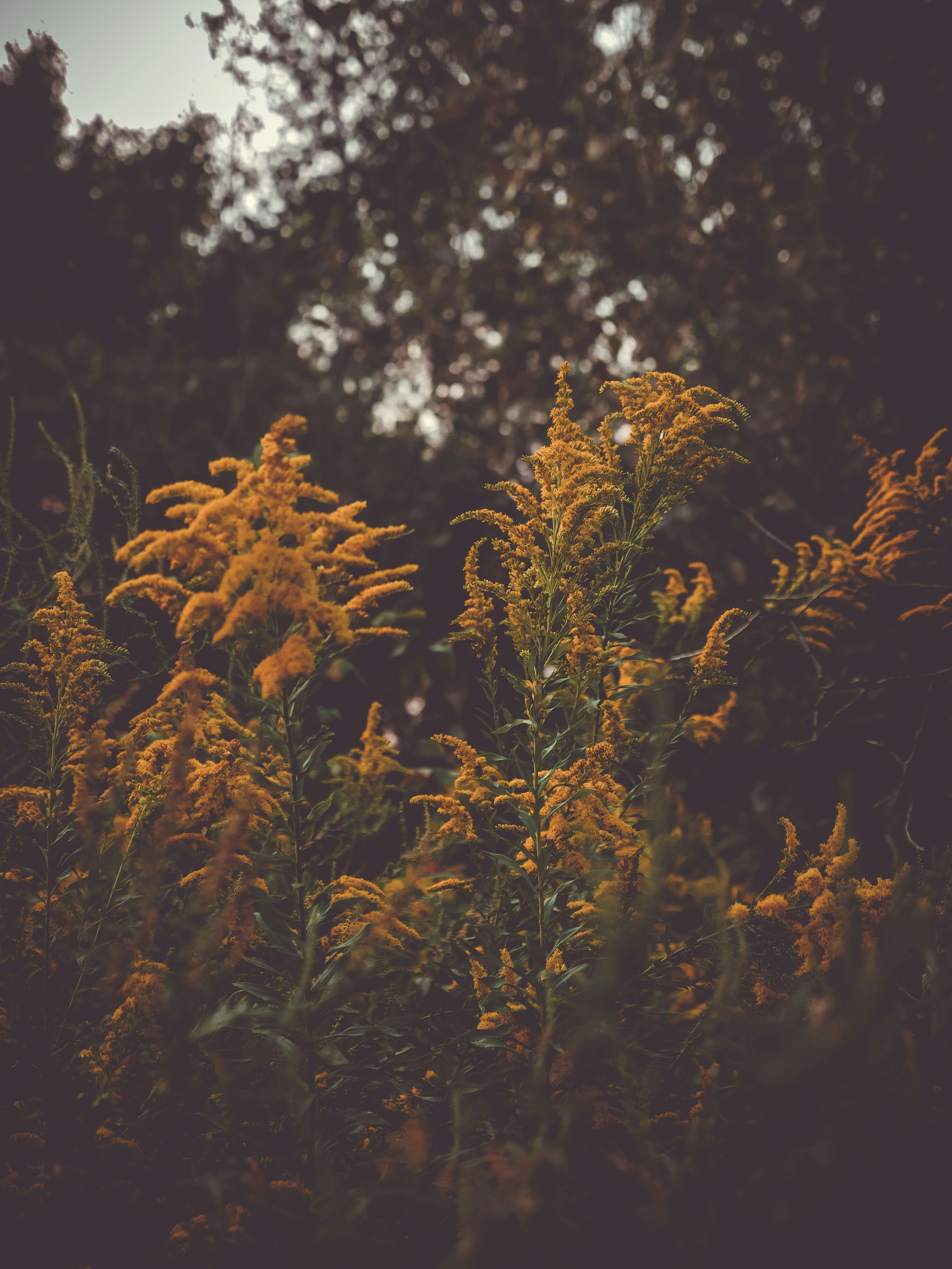 Photo by cstembridge