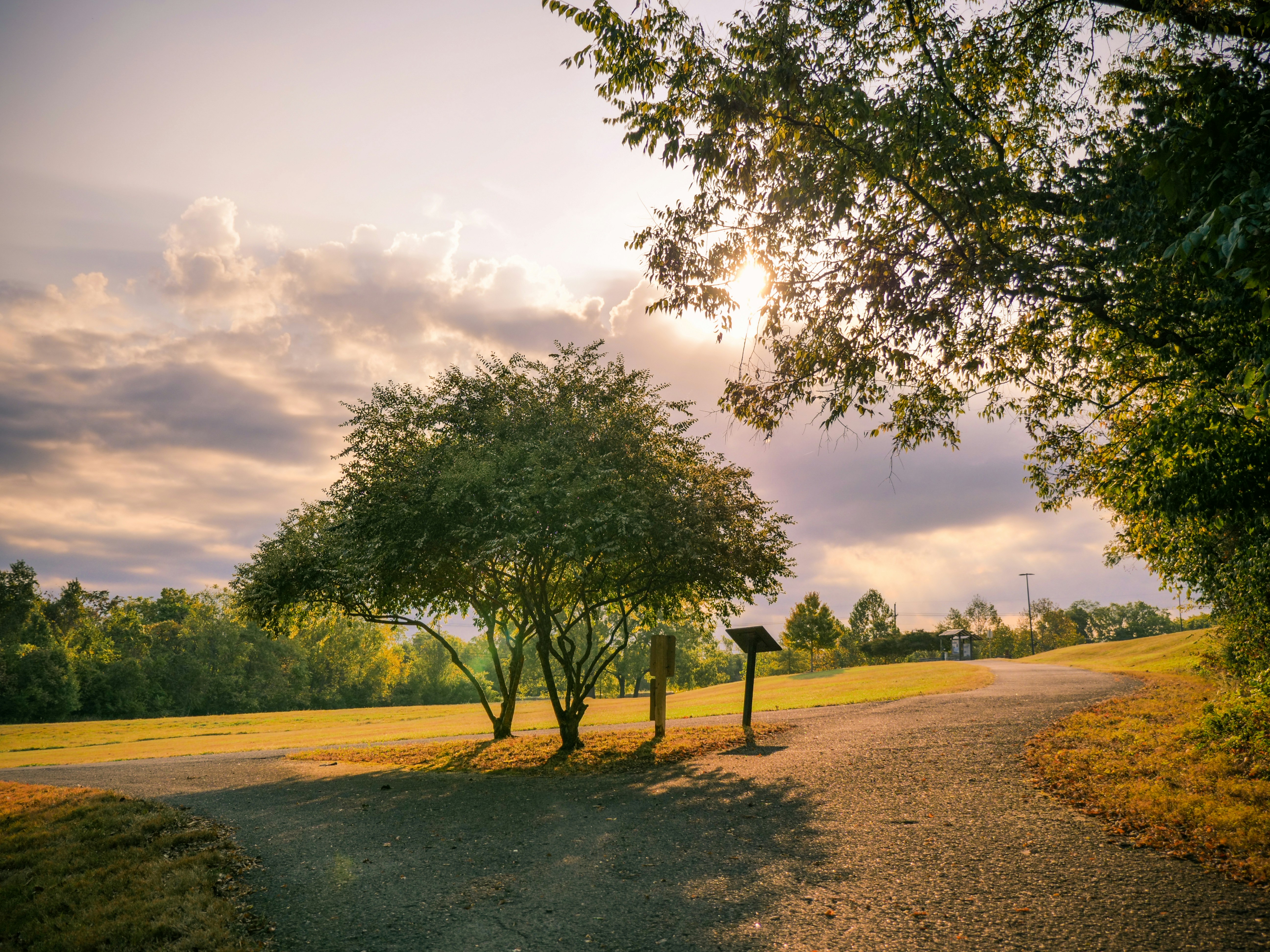 Photo by cstembridge