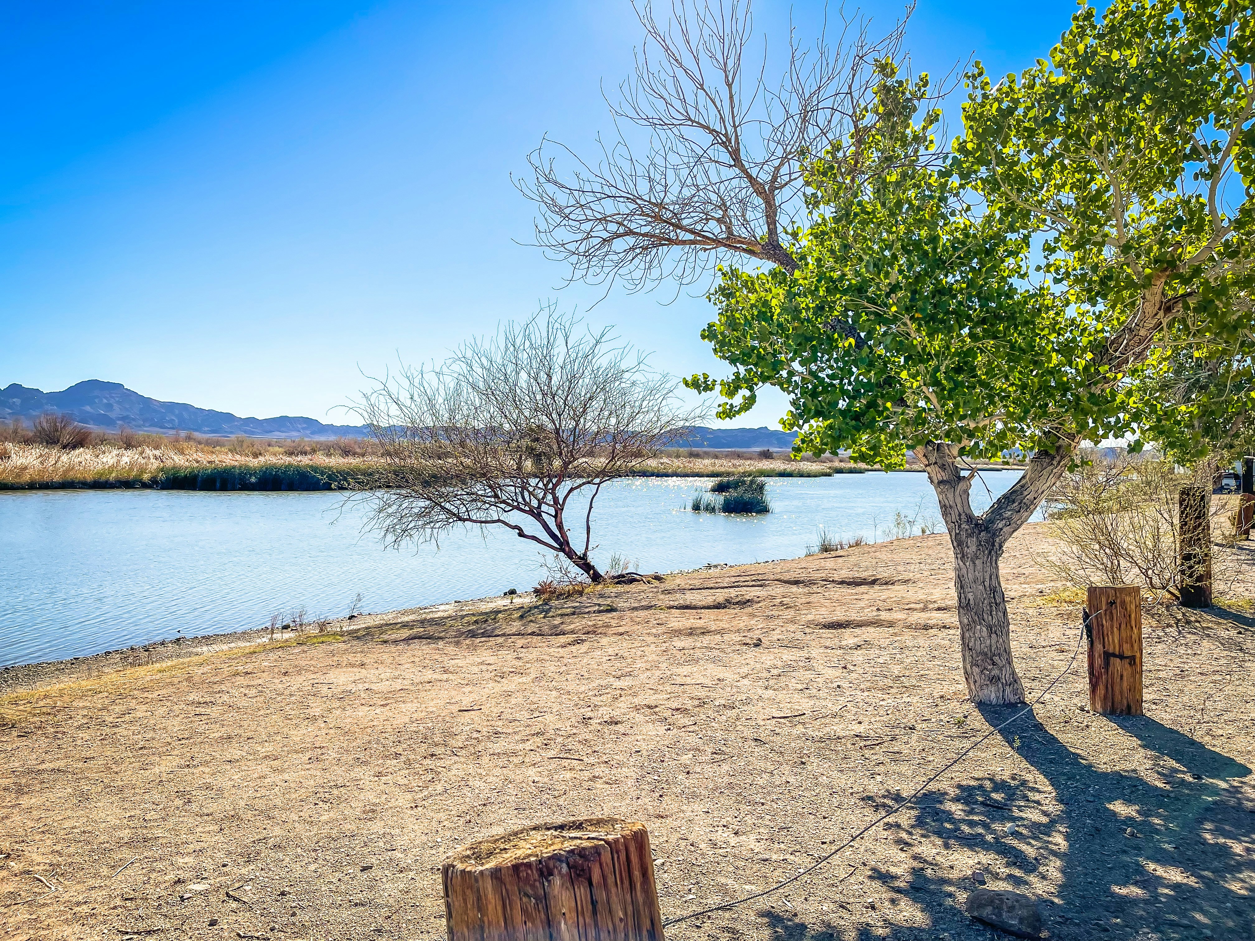 Photo by lisakenniston