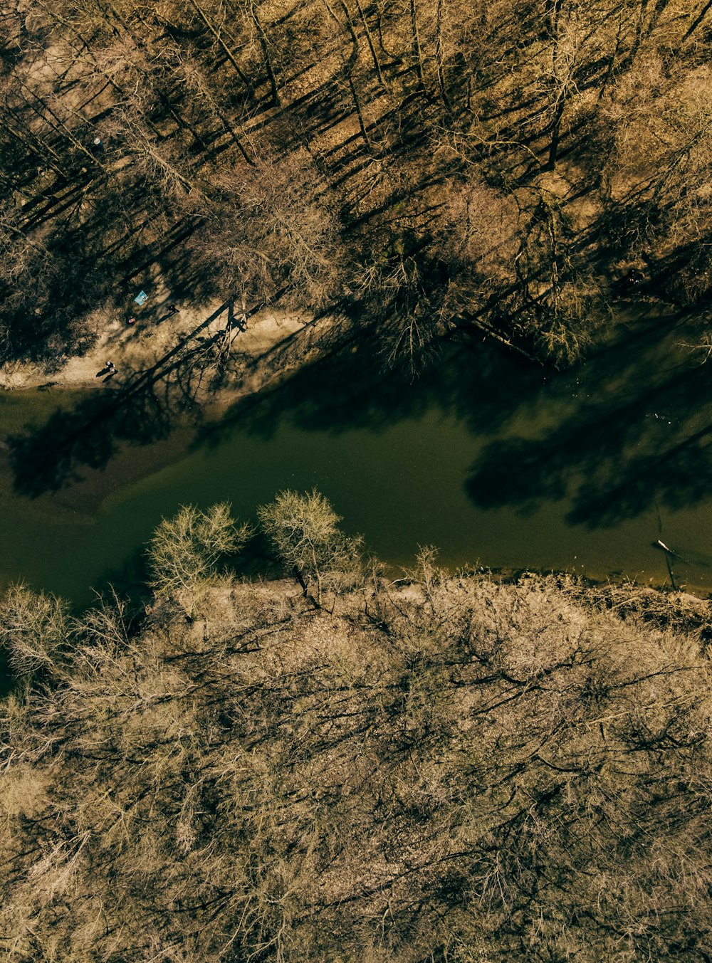 an aerial view of a body of water surrounded by trees