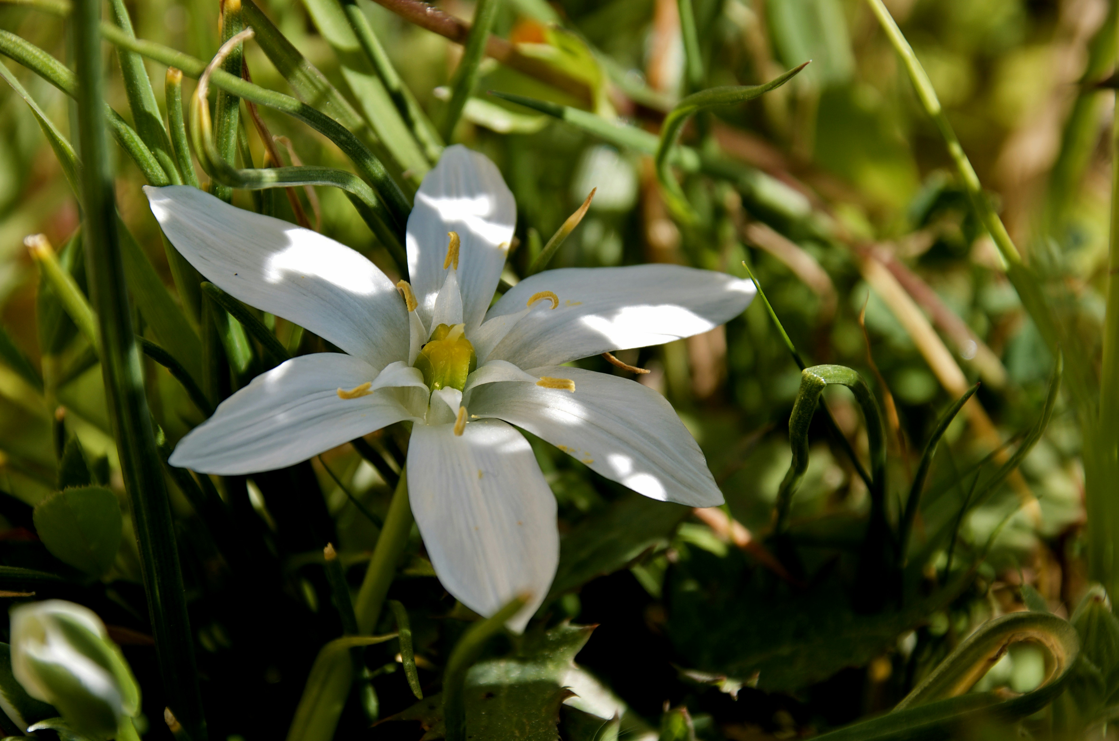 Photo by mariobeducci