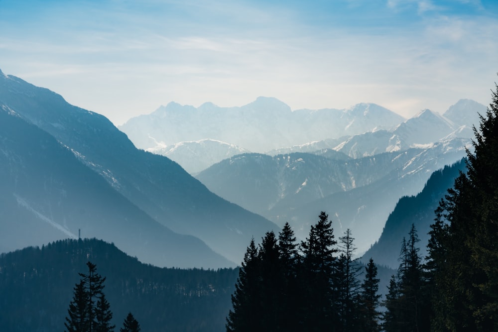 a view of a mountain range with trees in the foreground