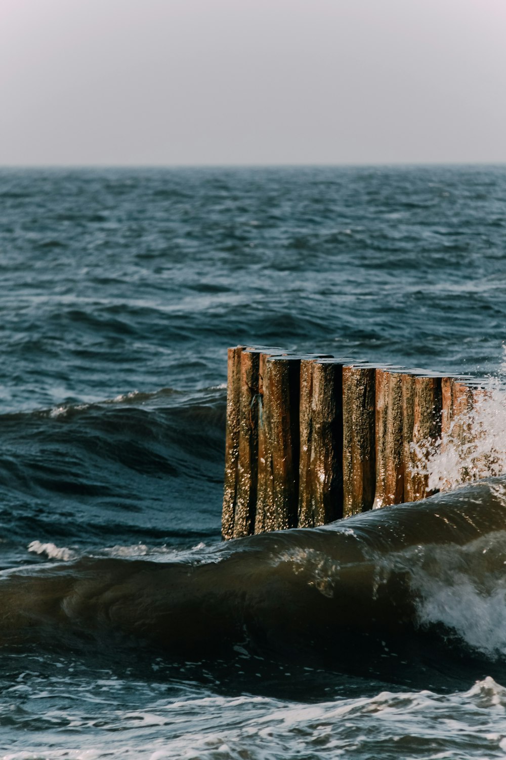 a piece of wood sticking out of the ocean