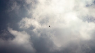 a bird flying through a cloudy blue sky