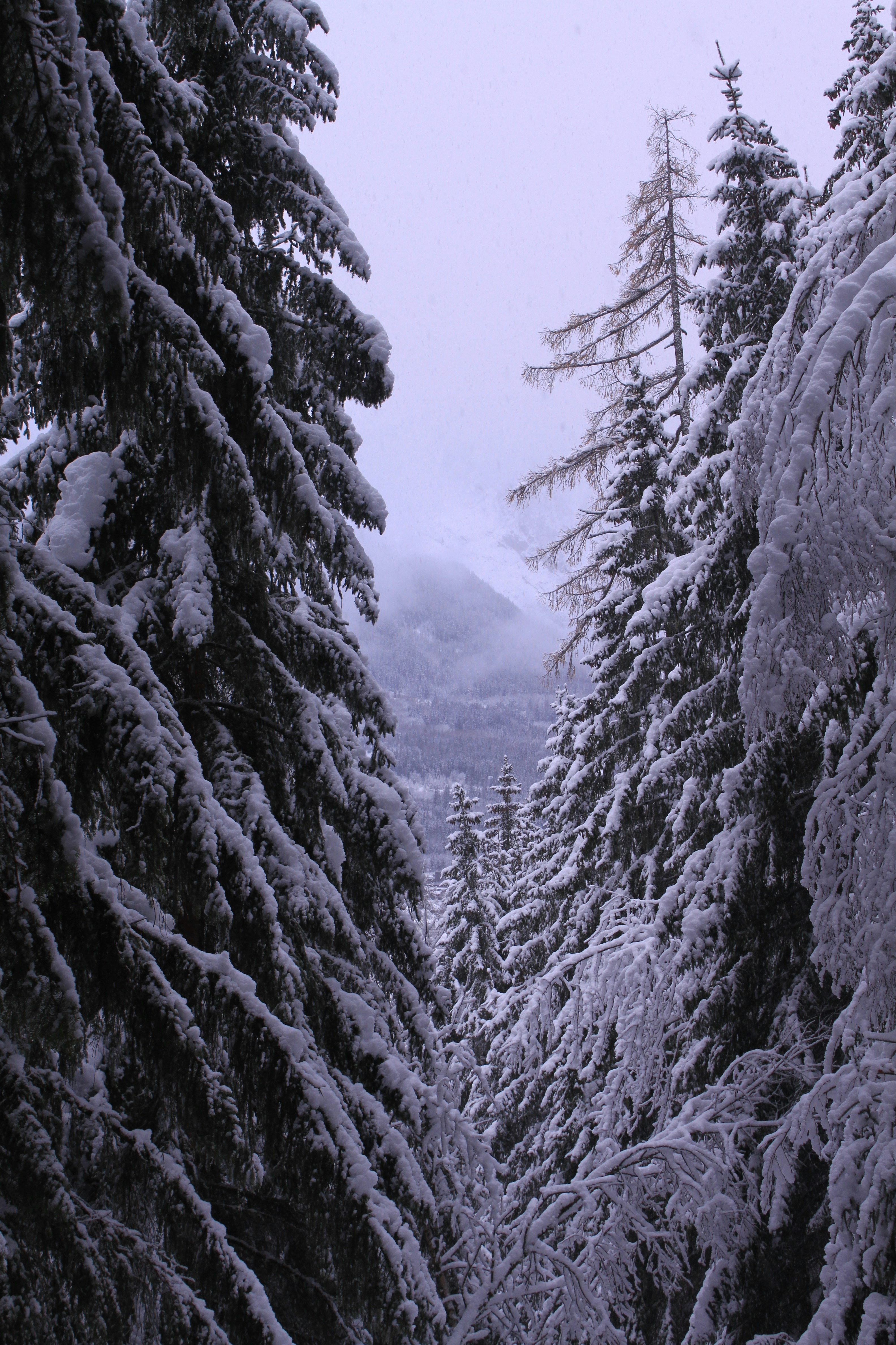 Photo by le_bisclavret