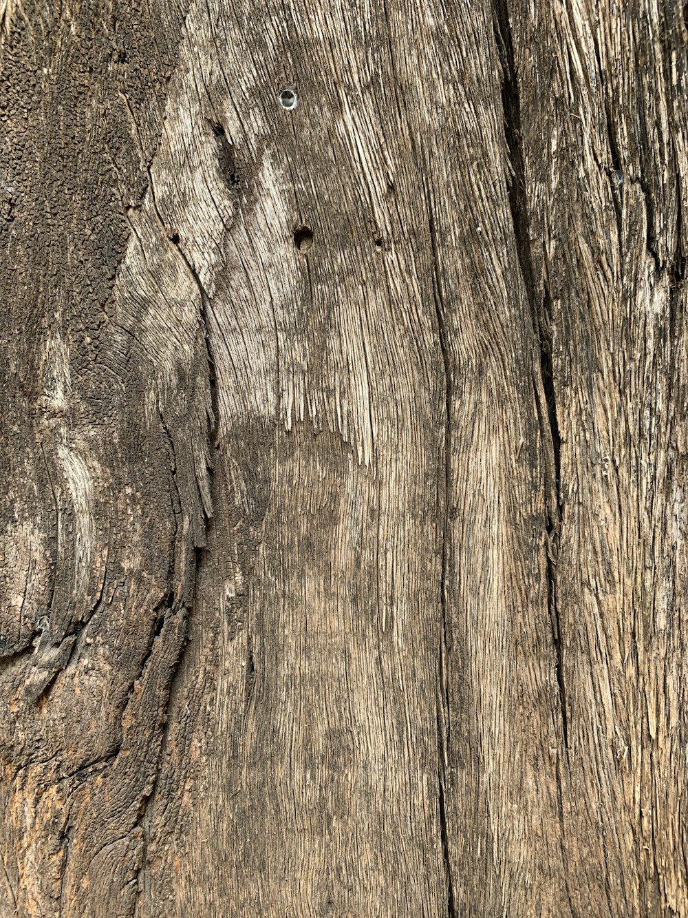 a close up of a piece of wood