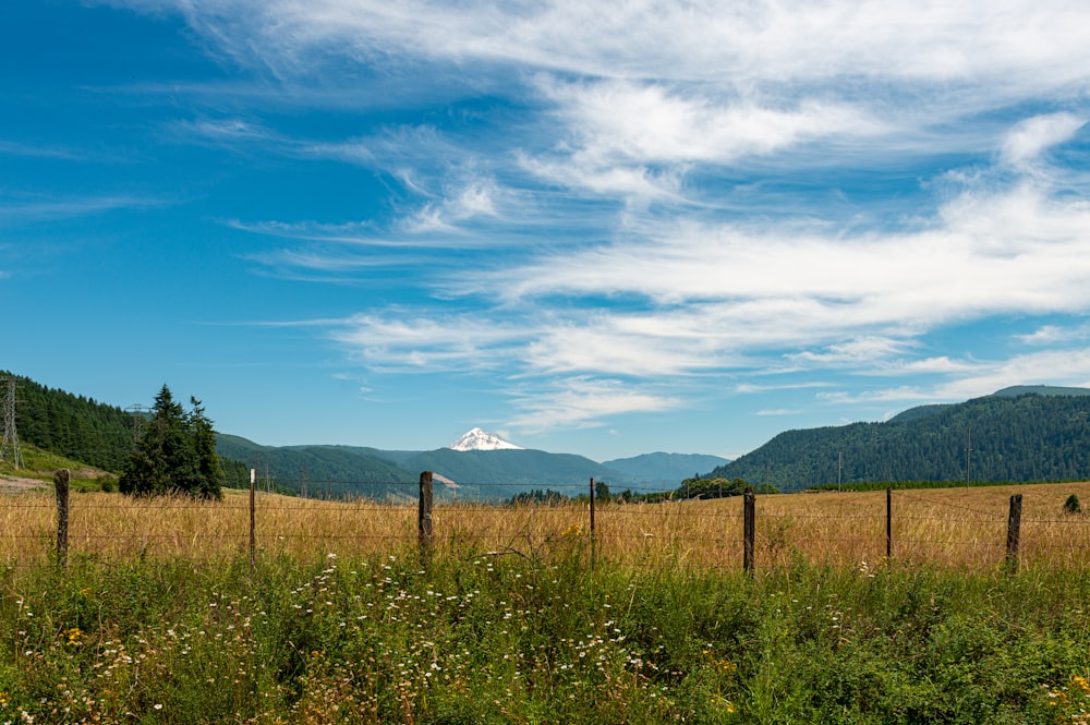 a field with a fence and mountains in the background