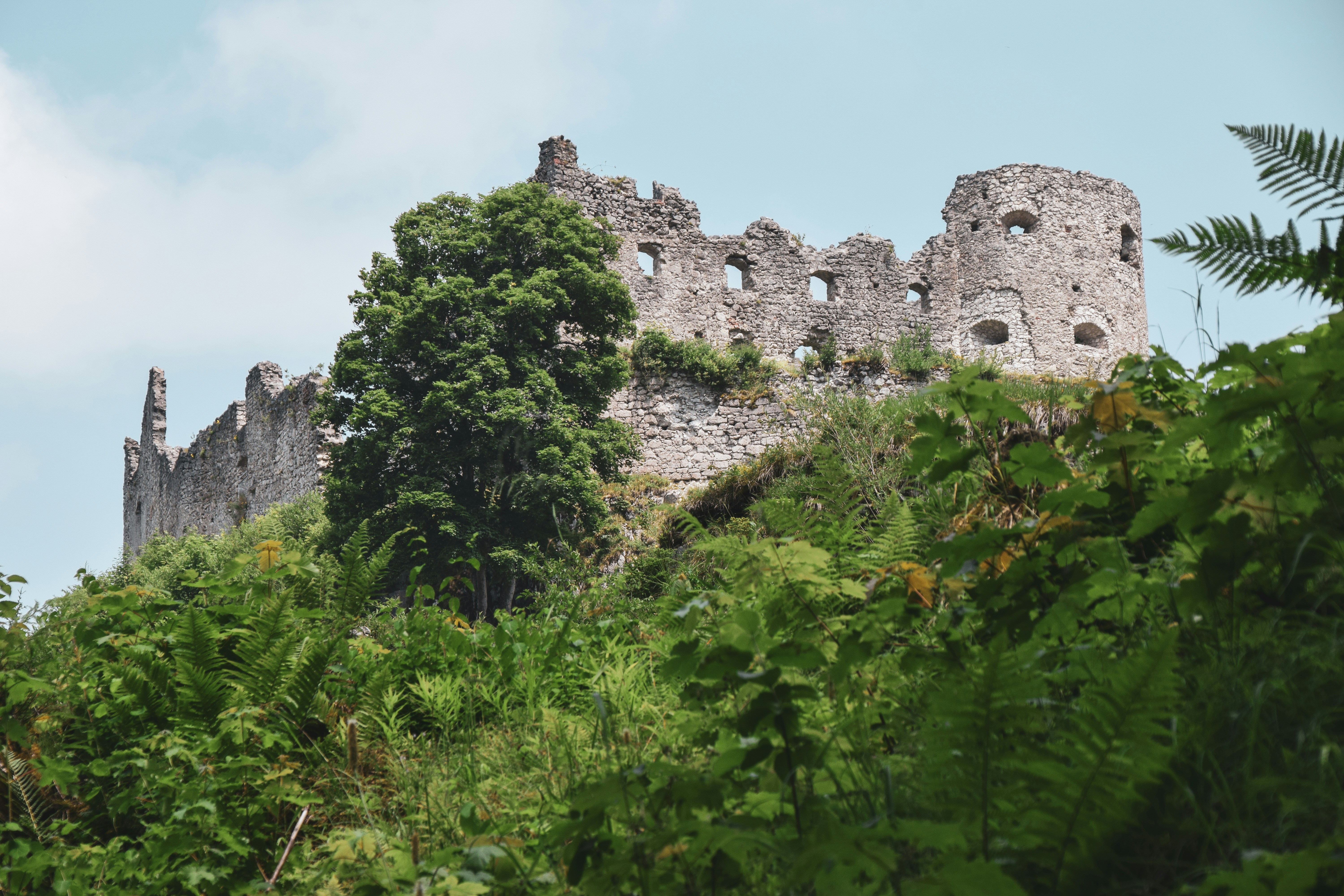 Photo by joshuakettle