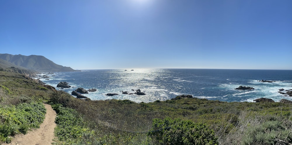 a view of the ocean from a trail on a sunny day