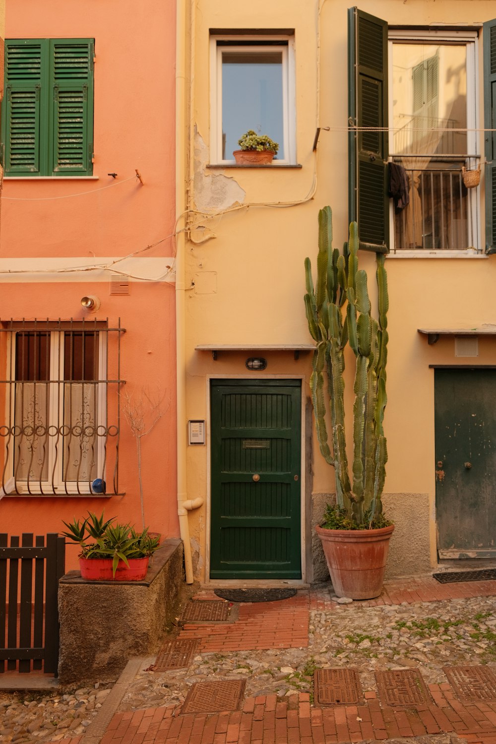a building with green shutters and a cactus in a pot