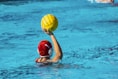 a person in a pool with a ball in their hand