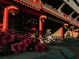 A traditional Chinese architectural setting with ornate decorations and vibrant red lanterns hanging from the roof. Stone lion statues flank the entrance, and blooming flowers are visible in the foreground. The scene suggests a warm, inviting atmosphere.