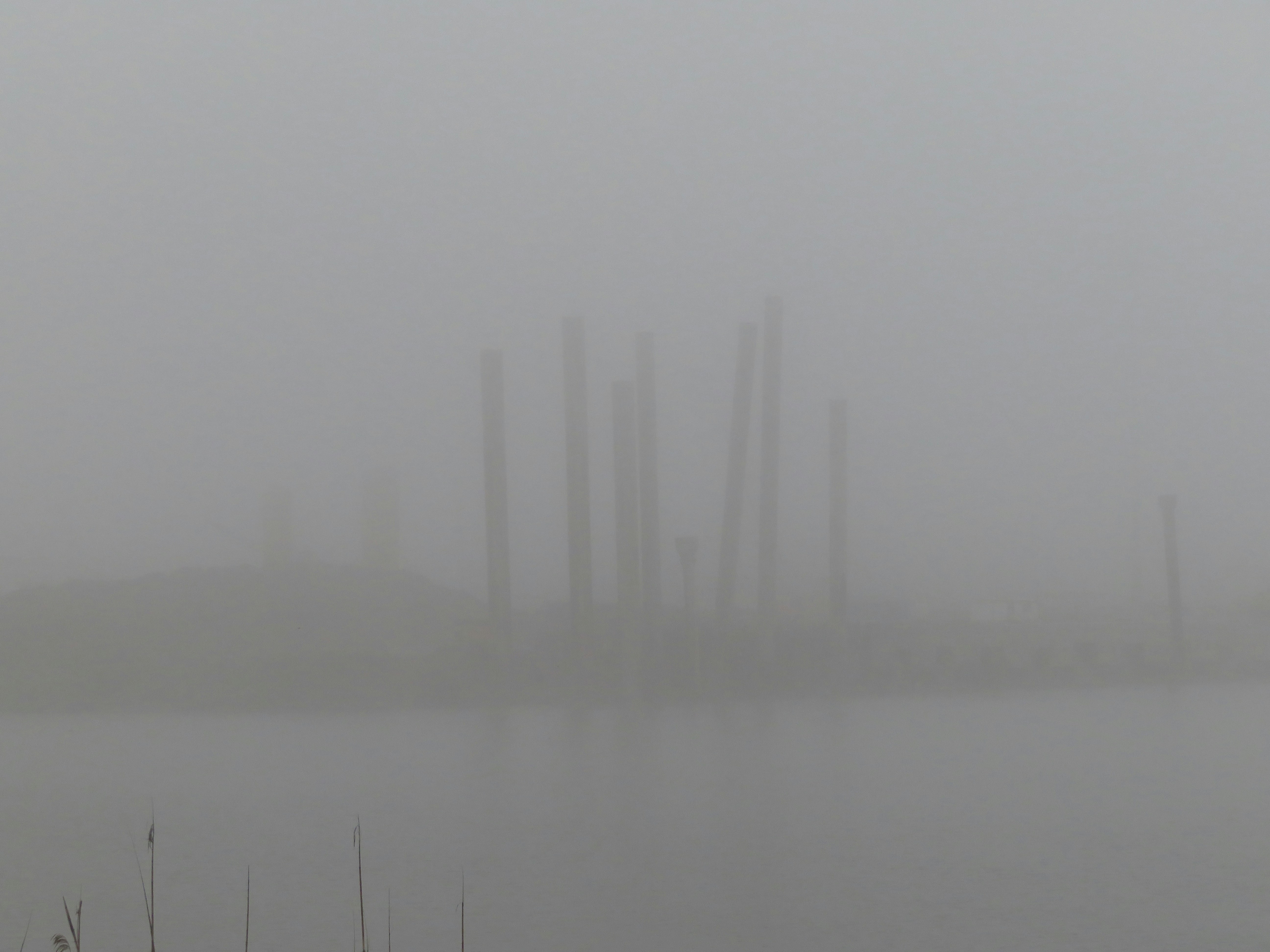 a body of water surrounded by fog and tall buildings