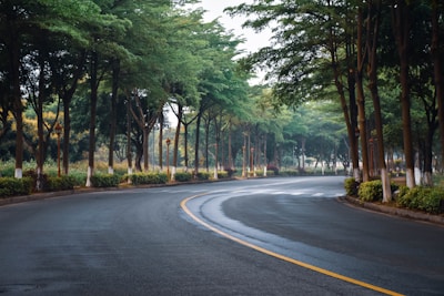 a curved road surrounded by trees and bushes