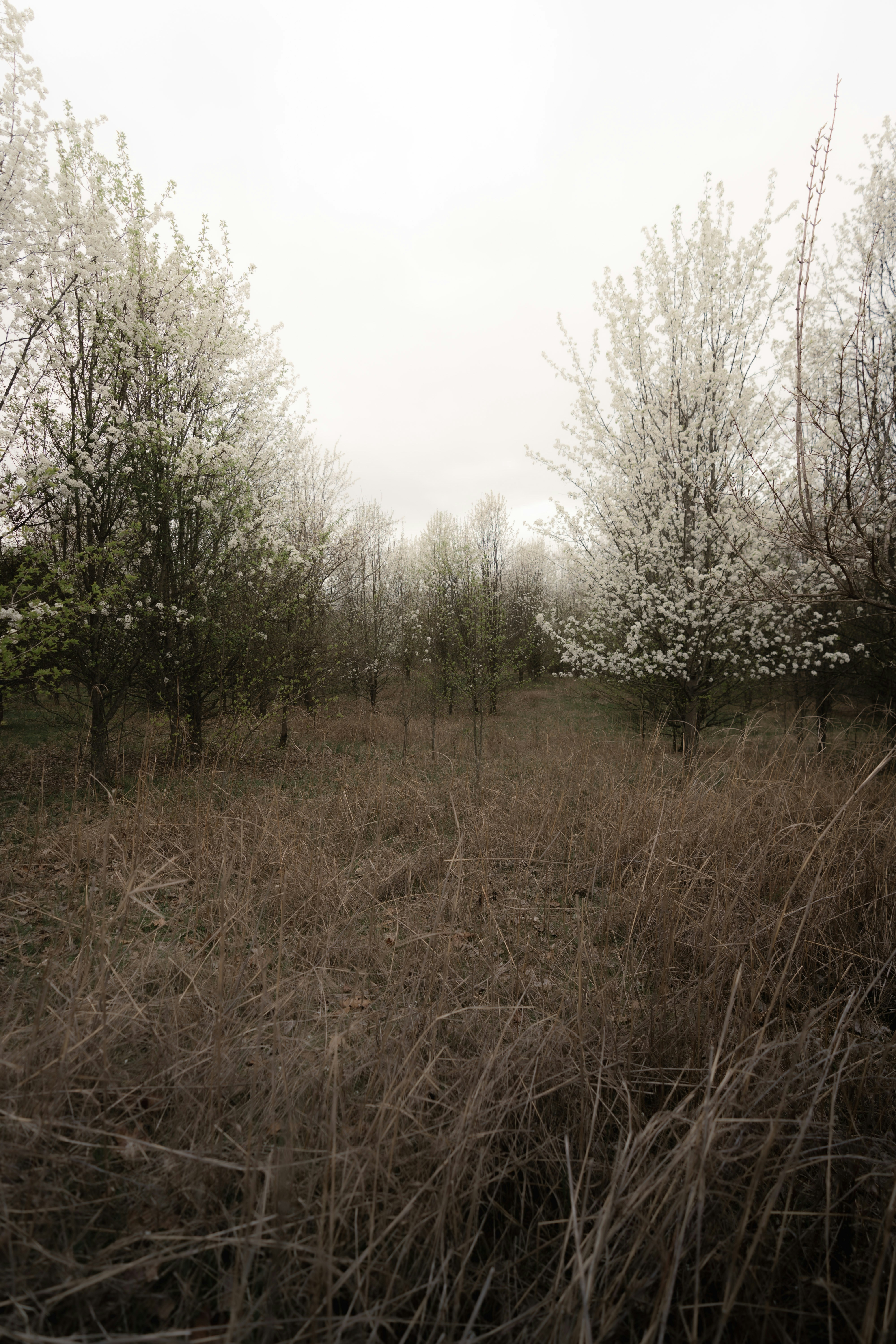 Photo by haroldwainwright