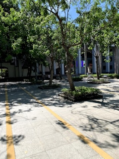 A freshly paved courtyard with neatly arranged trinkelių stones under warm sunlight.