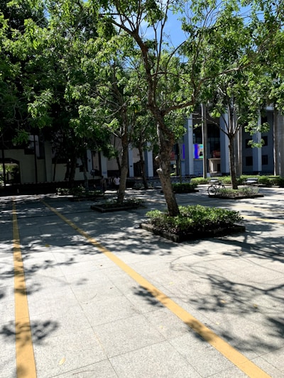 A freshly paved courtyard with neatly arranged trinkelių stones under warm sunlight.