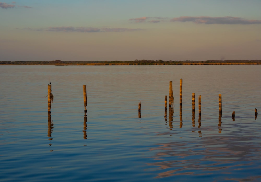 a body of water with a bunch of poles sticking out of it