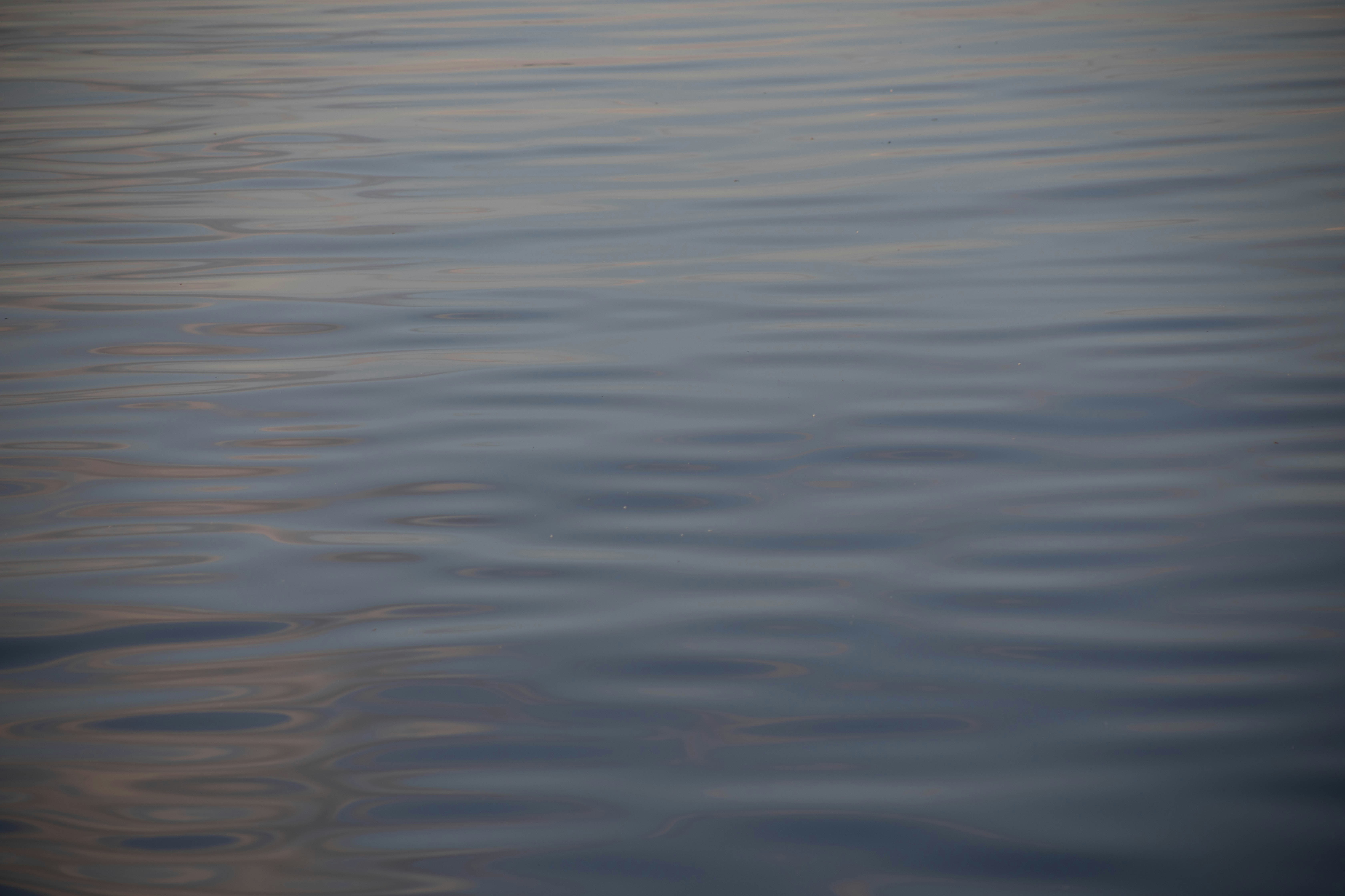 Photo by dpreacherdawn