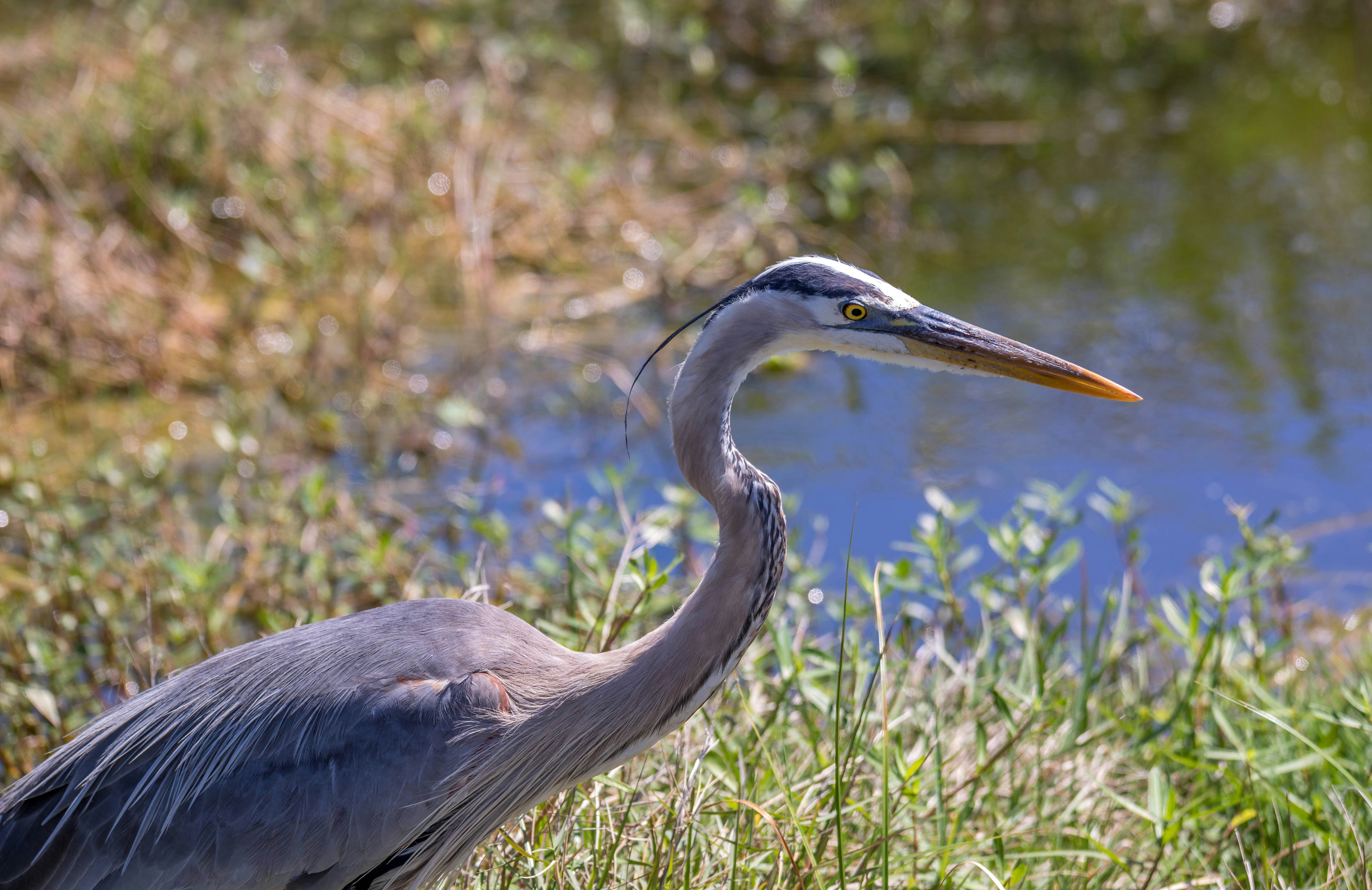 Photo by dpreacherdawn