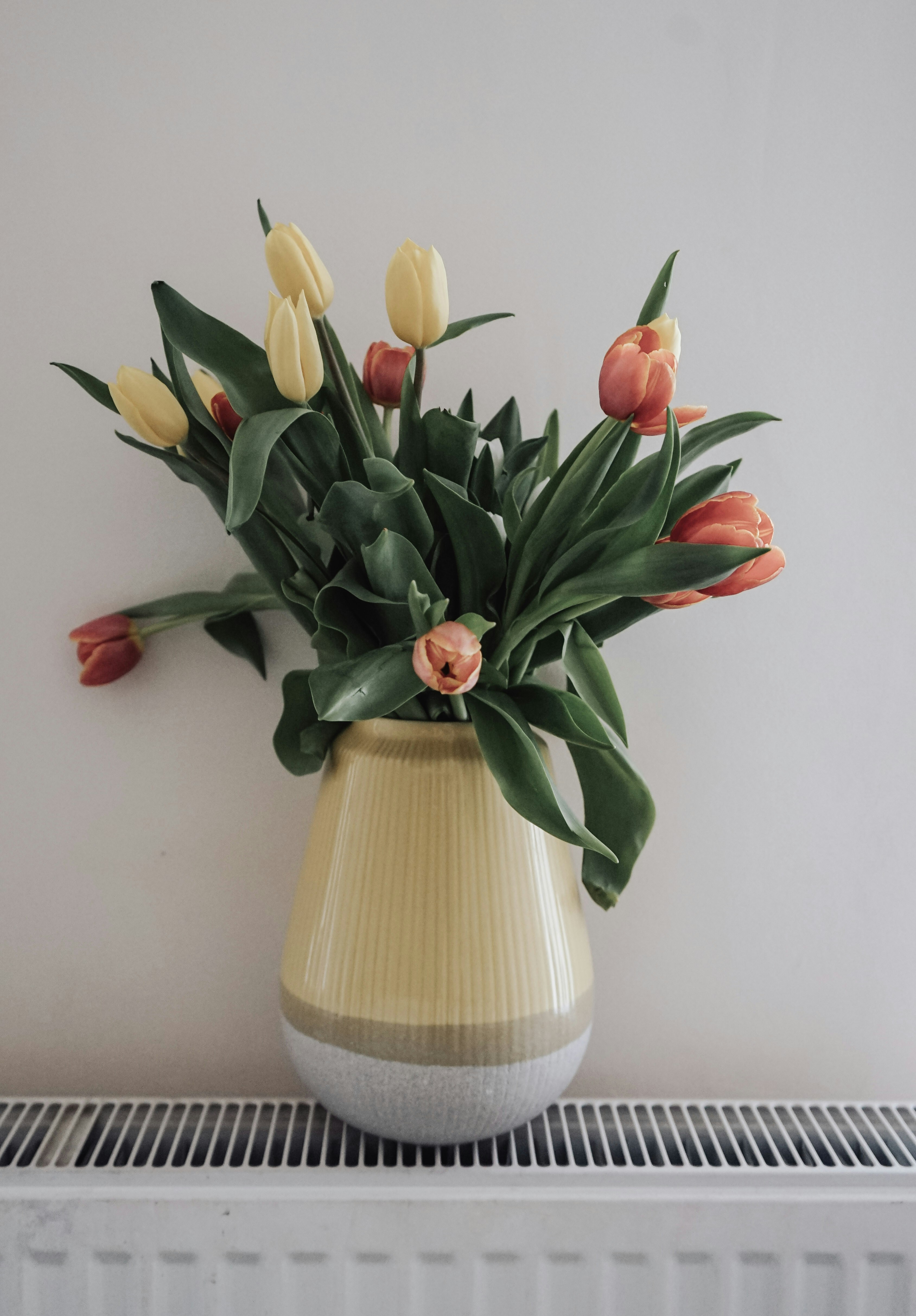 A vase filled with flowers on top of a radiator photo – Free Plant ...