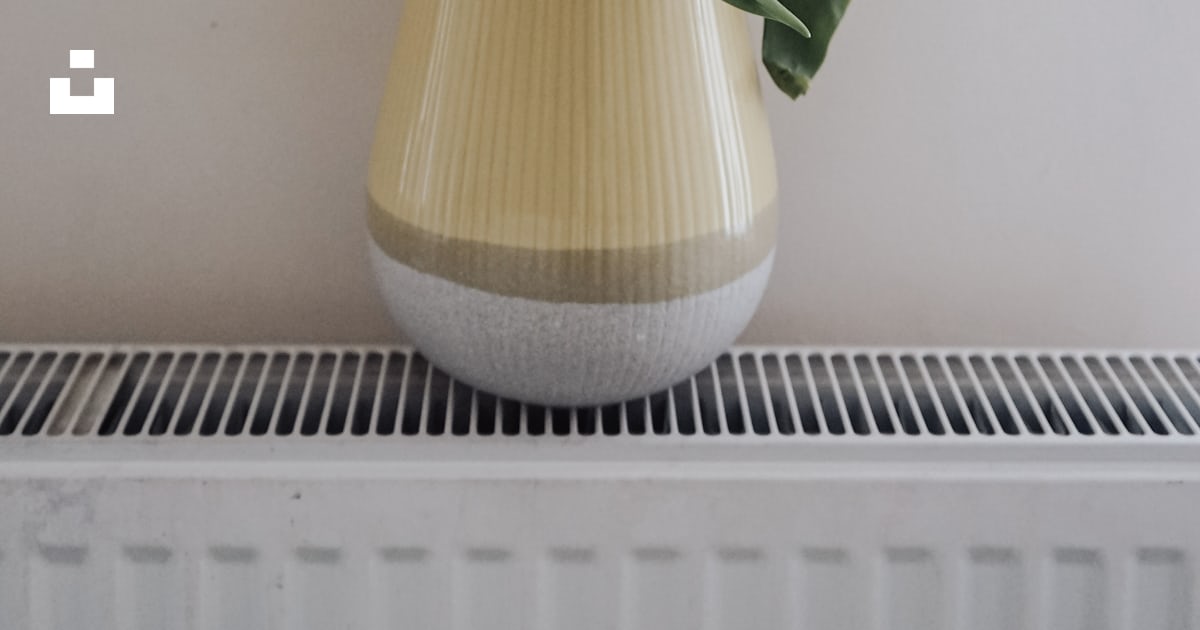 A vase filled with flowers on top of a radiator photo – Free Plant ...