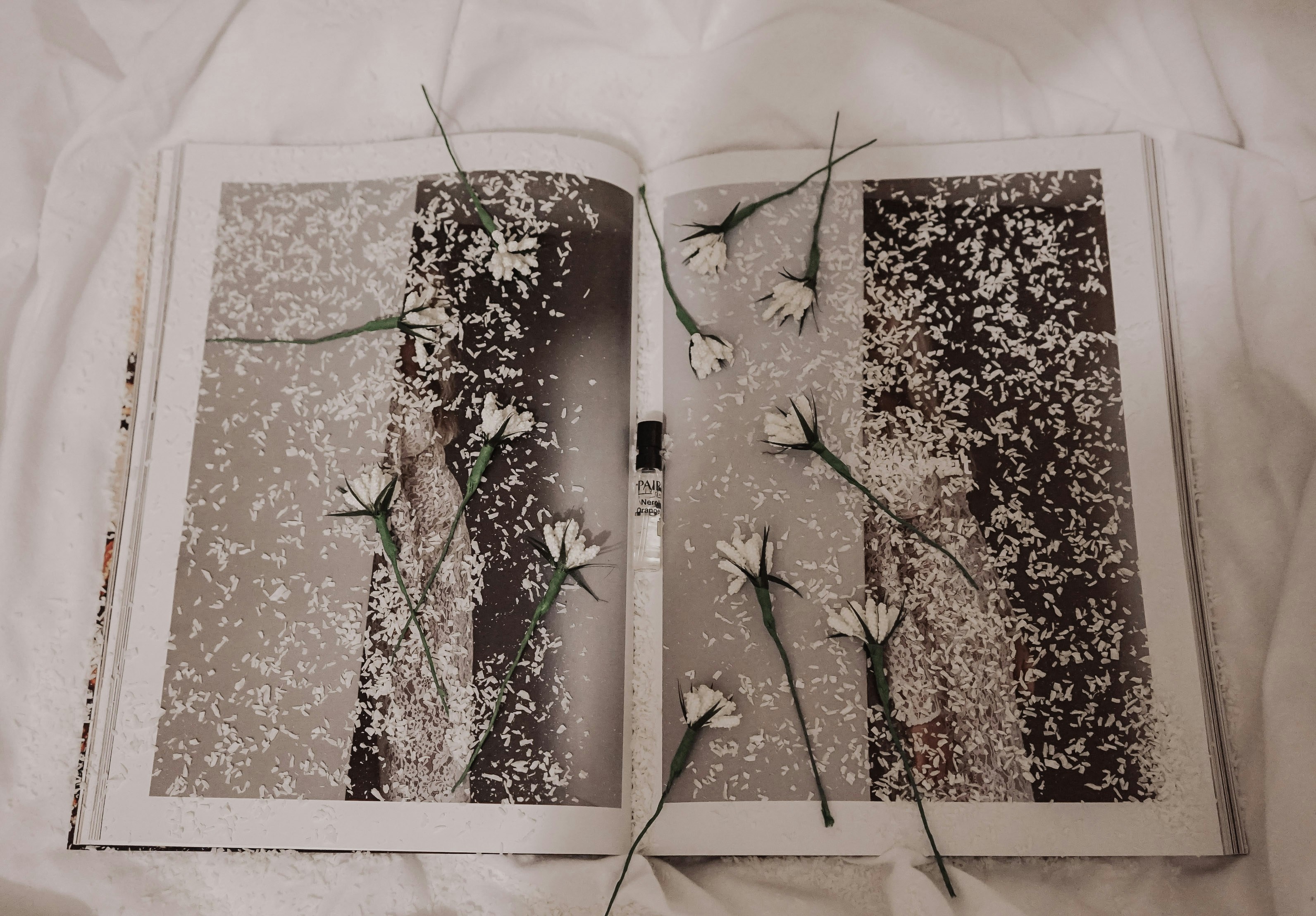 Serene Garden Coloring Book