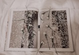 A book is open to a page with a monochrome photograph covered in white petals. Several white flowers with green stems are placed randomly across the pages, creating a layered, artistic effect. The background features a soft, white fabric, contributing to a delicate and serene atmosphere.