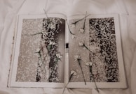 A book is open to a page with a monochrome photograph covered in white petals. Several white flowers with green stems are placed randomly across the pages, creating a layered, artistic effect. The background features a soft, white fabric, contributing to a delicate and serene atmosphere.