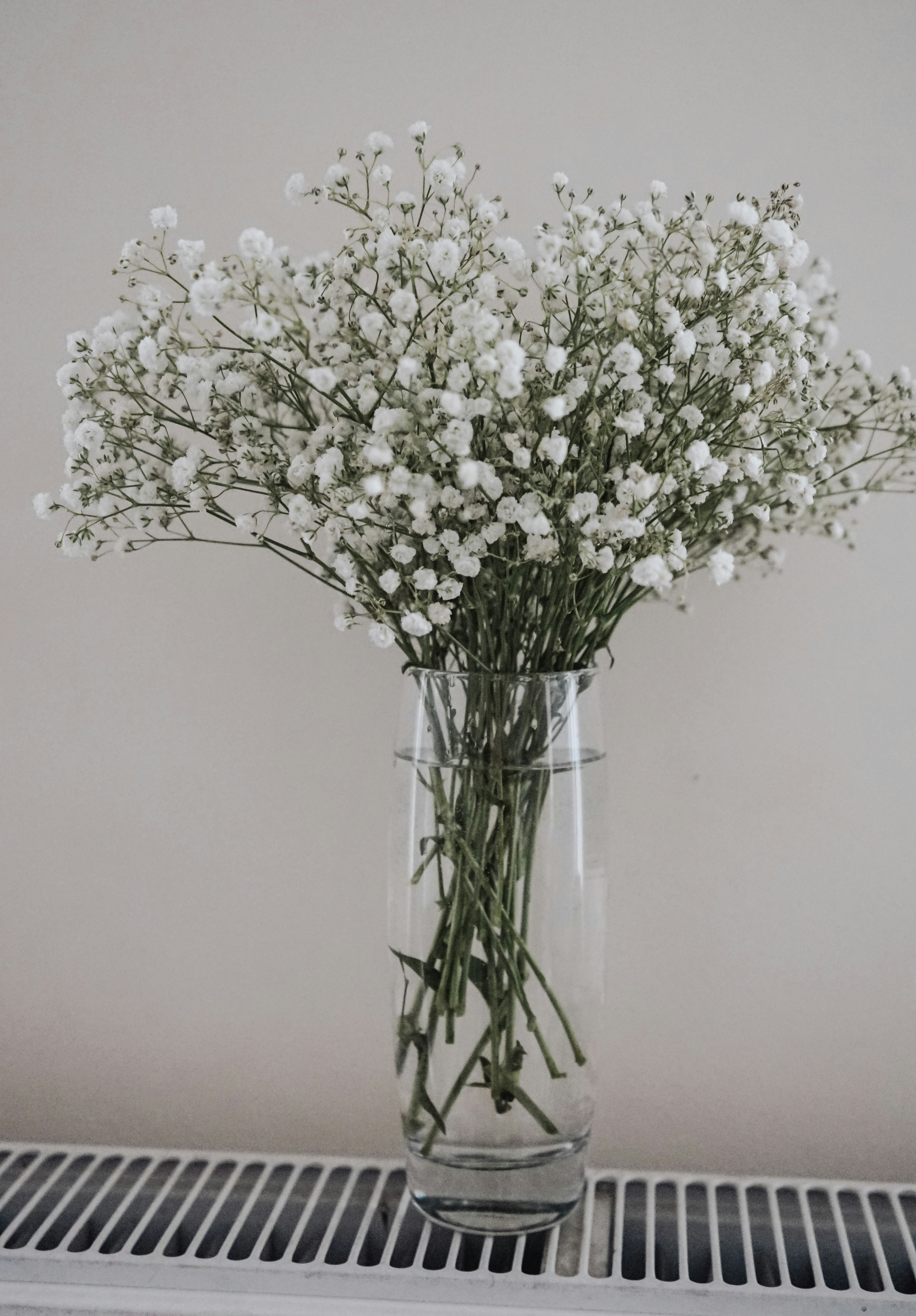 Elegant Glass Vase