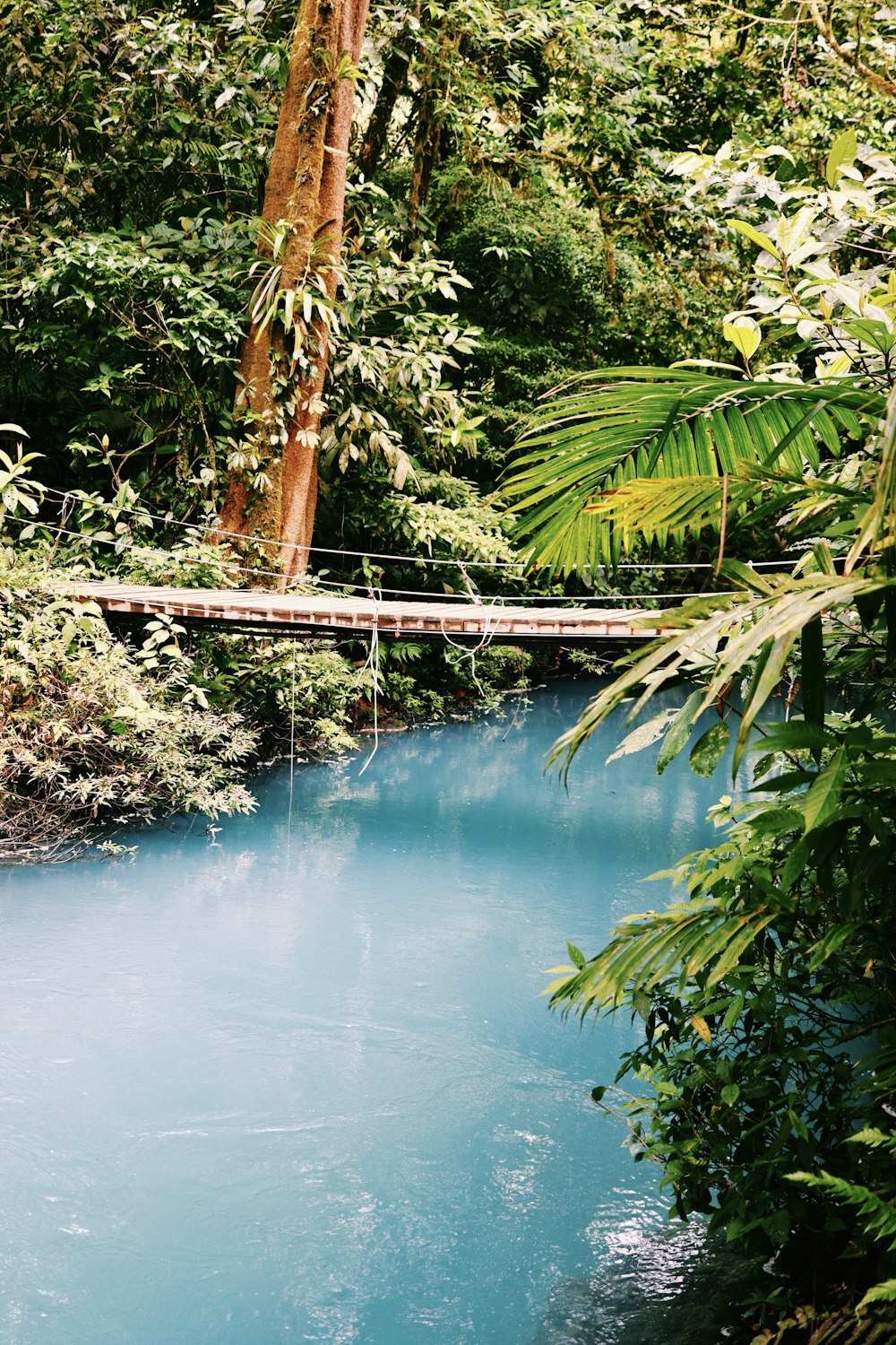 Eine Brücke über einen blauen Fluss, umgeben von Bäumen