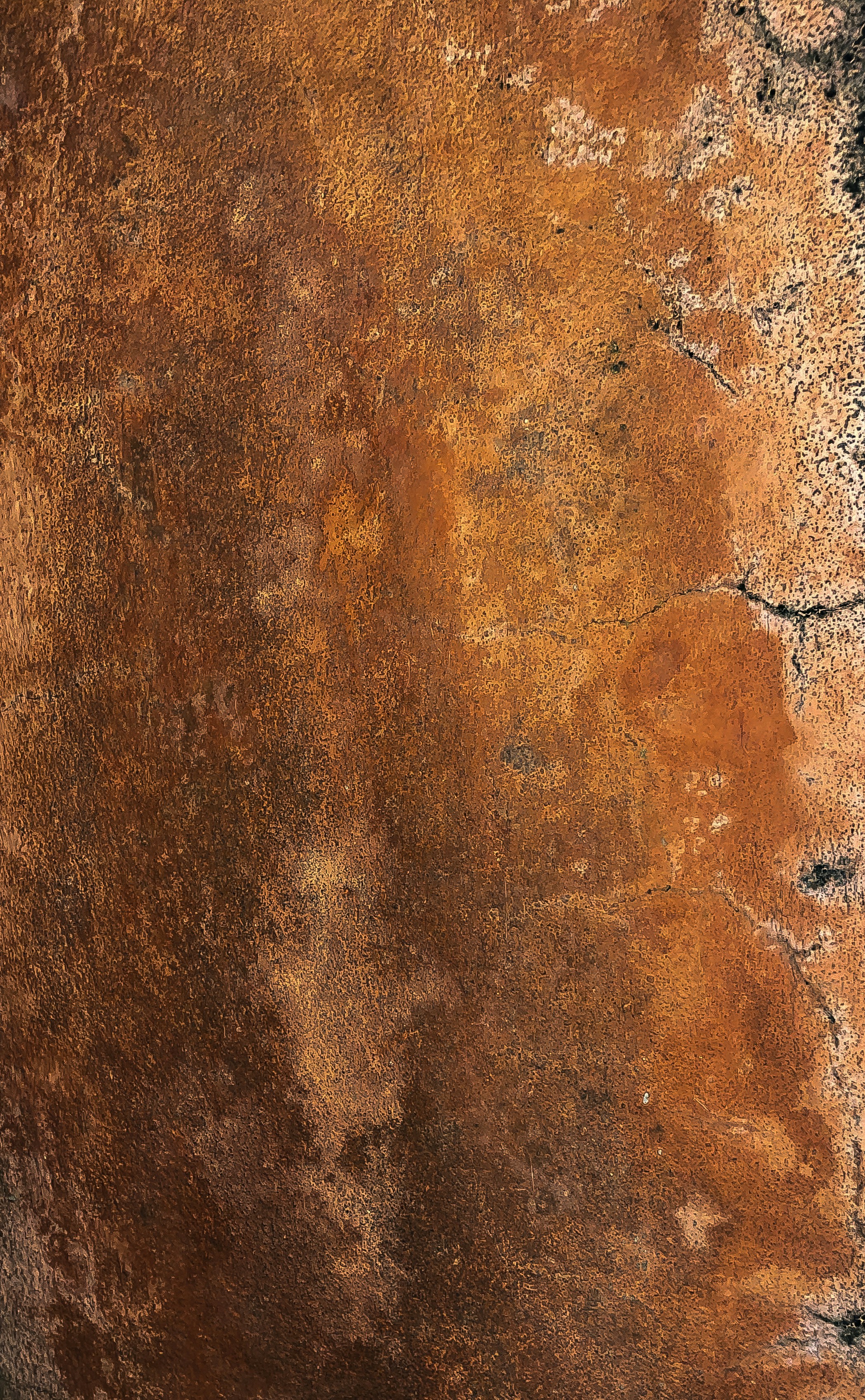 Photo by snapzshooter