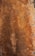 A textured surface with varying shades of brown, featuring patterns of oxidation and erosion. The surface has an uneven, rough appearance with areas of darker rust and lighter tan areas, giving it an organic and aged look.
