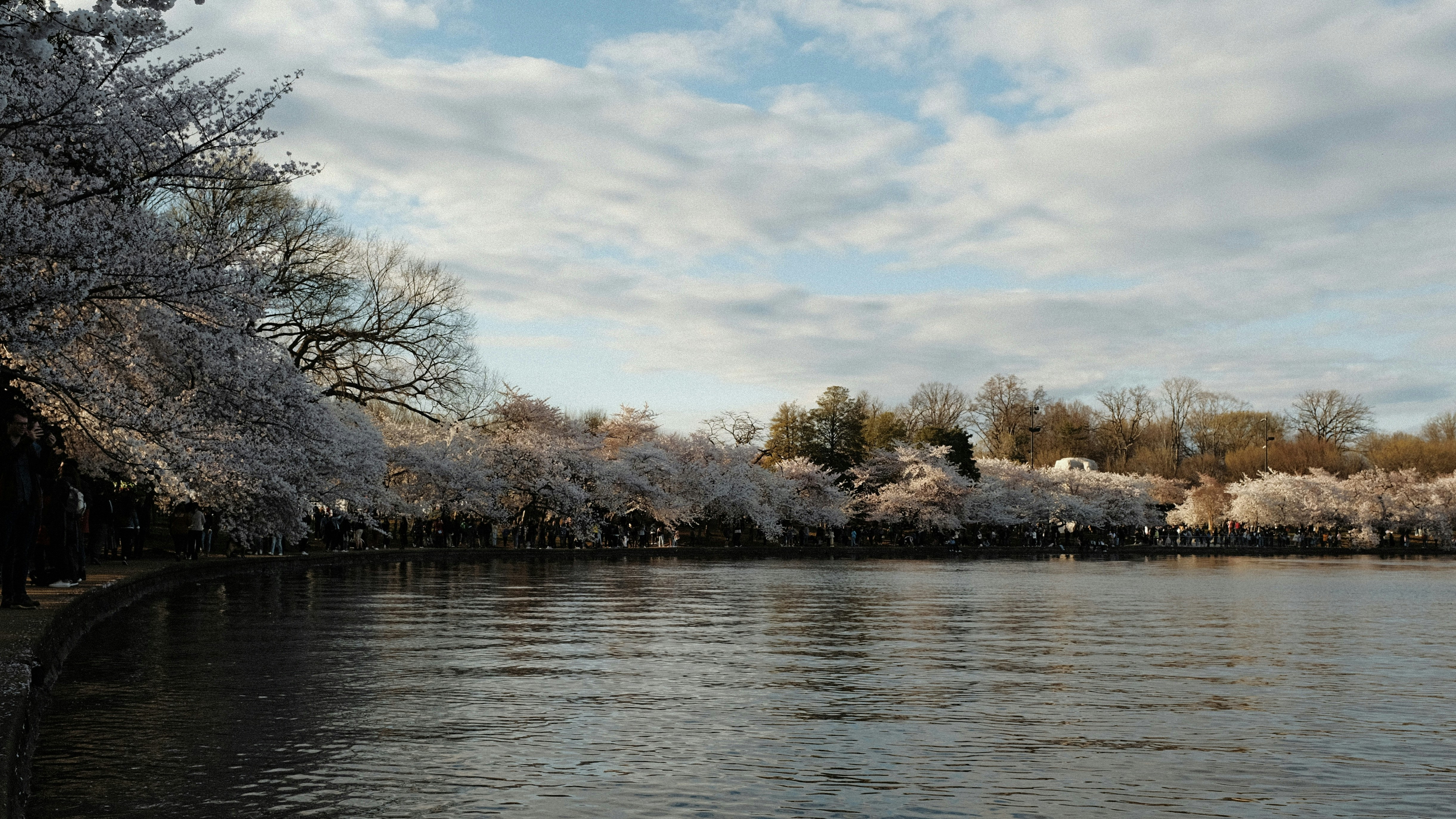 a large body of water surrounded by trees