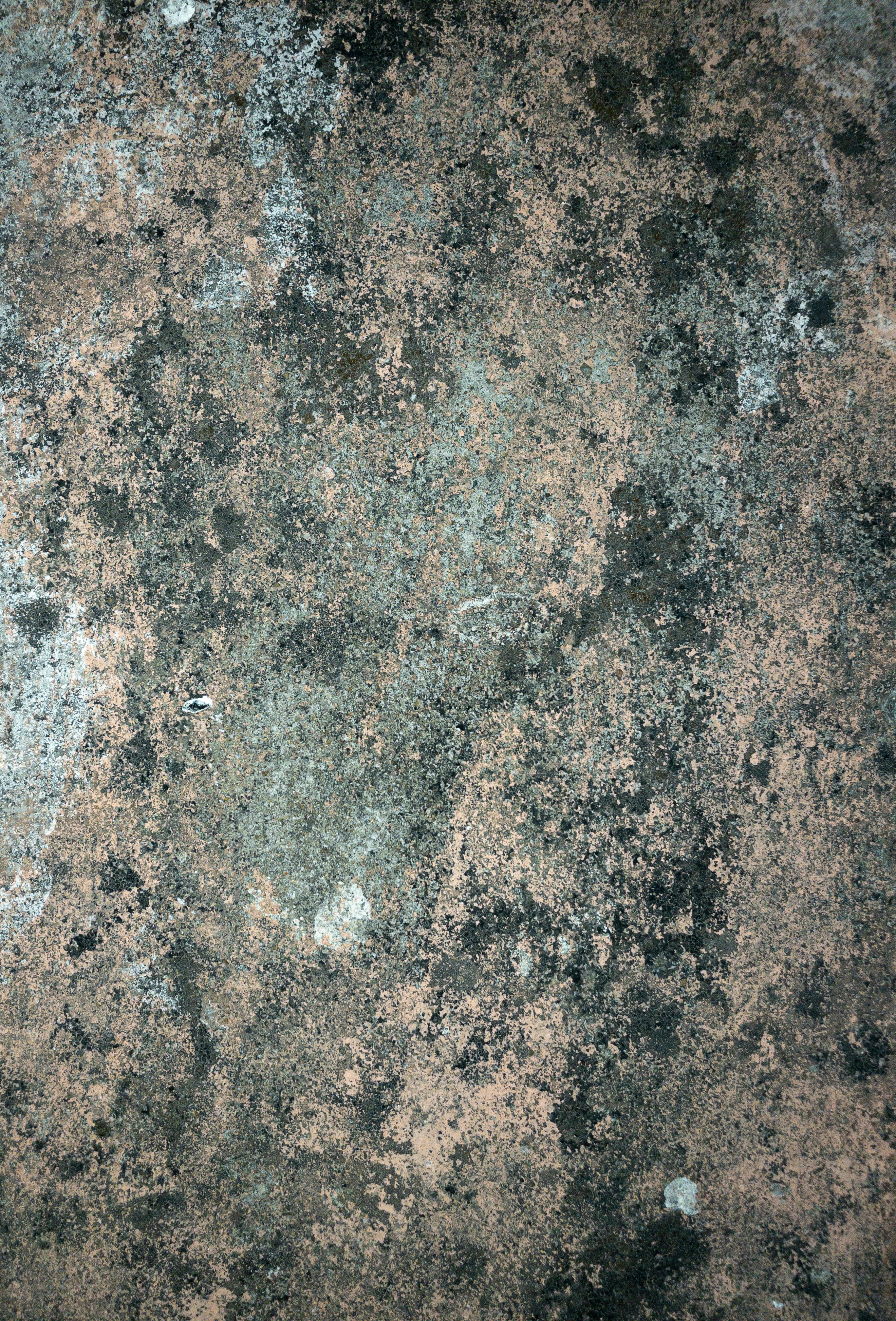 Photo by snapzshooter