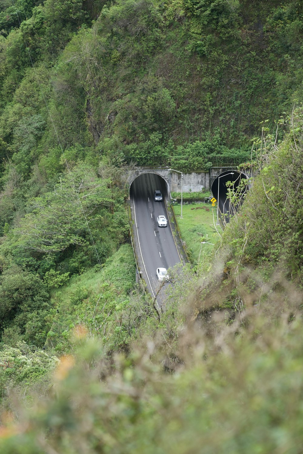 a car driving through a tunnel in the middle of a lush green hillside