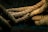 Thick ropes are intertwined and resting on a dark surface, with a gritty texture visible on the fibers. The lighting highlights the rough, natural material, casting shadows and creating a dramatic contrast.