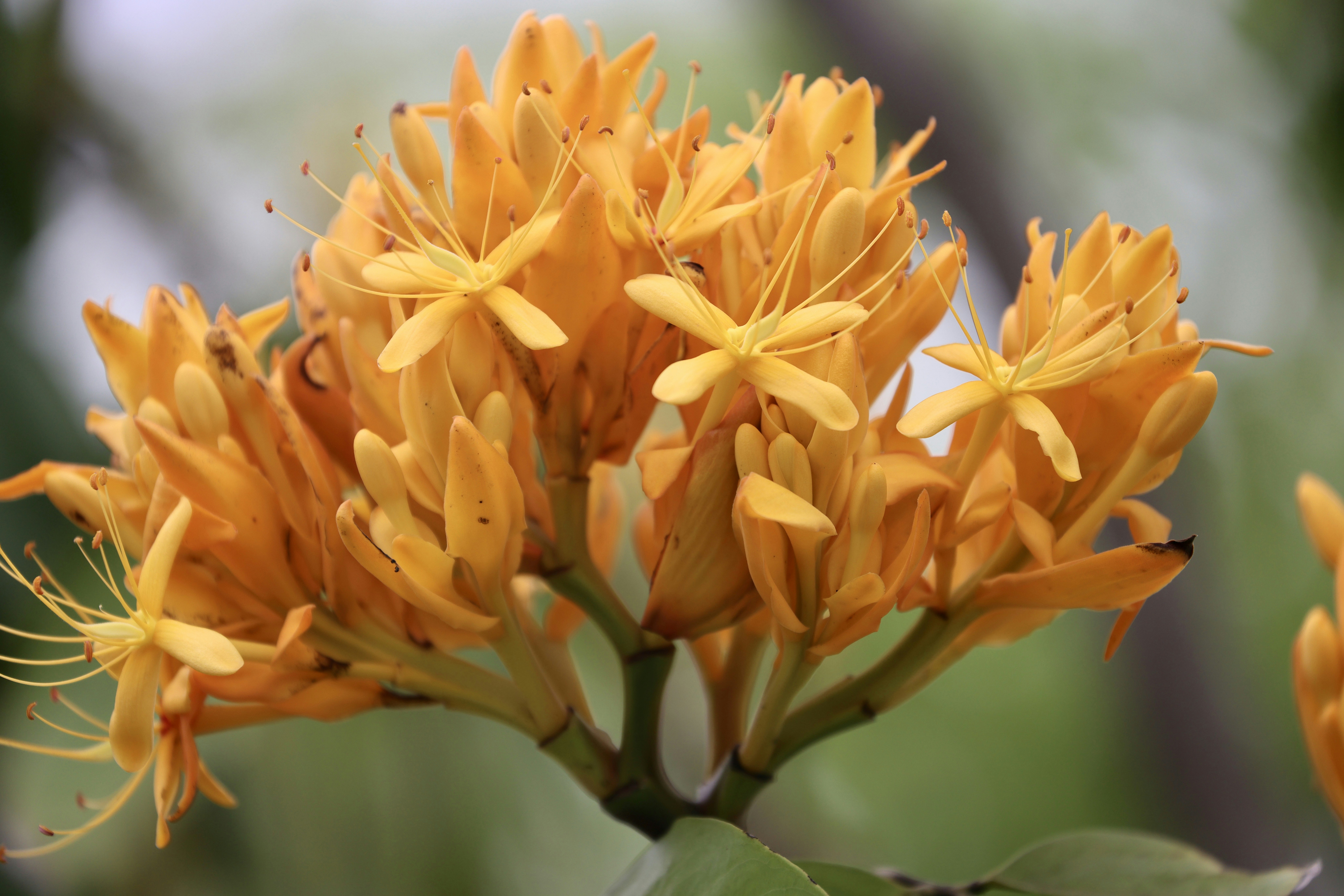 Photo by dickenslin76