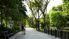 A couple walking hand in hand through a sunlit park with rose petals scattered on the path.