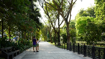 A couple walking hand in hand along a sunlit park pathway.