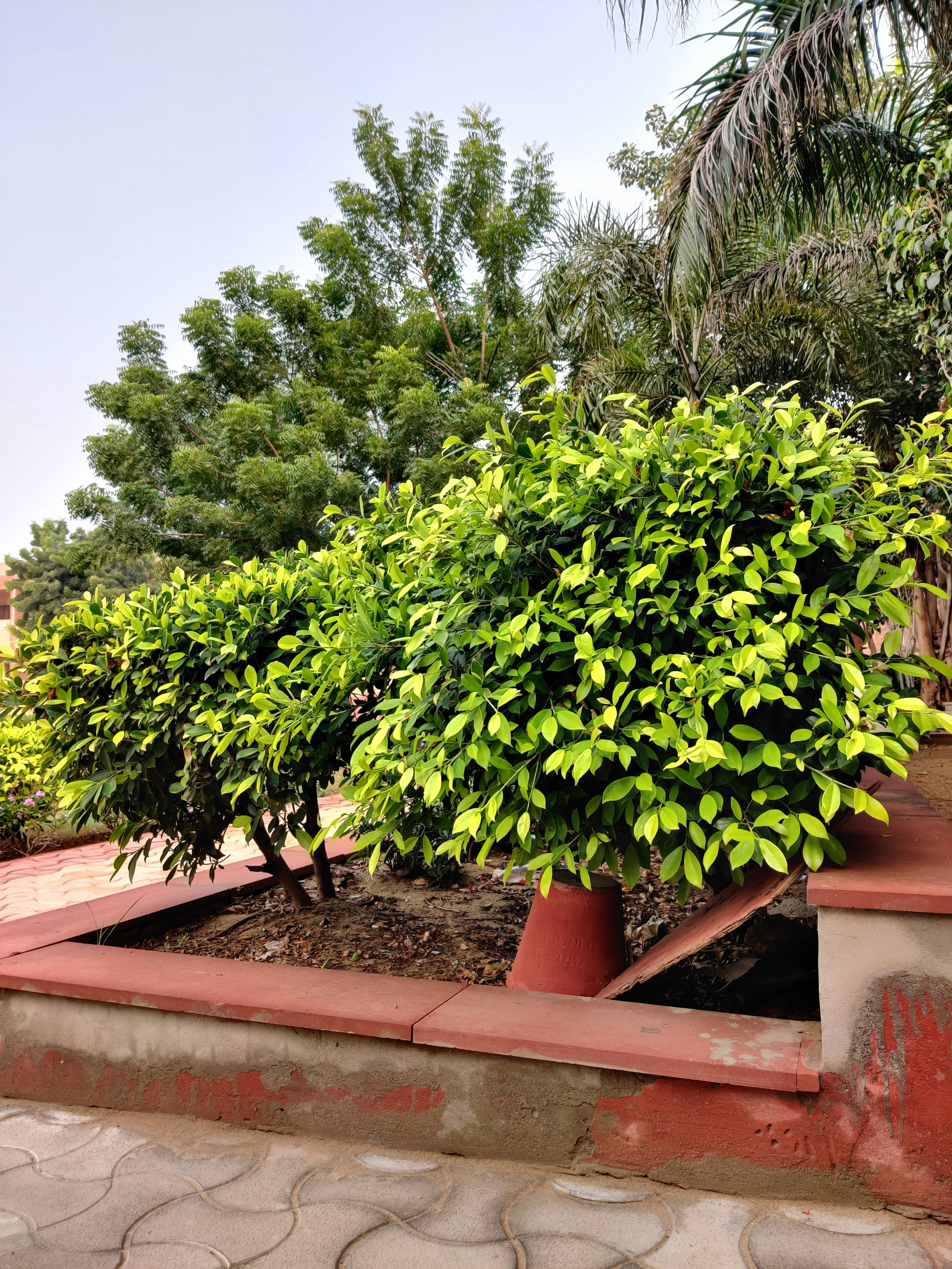 ไม้ล้อมคุณภาพสูง